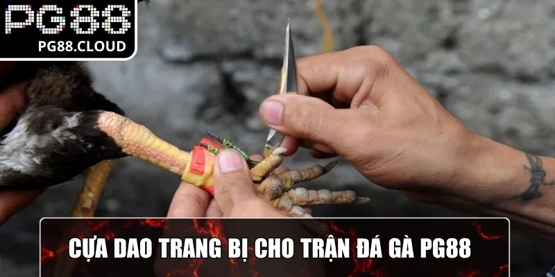 Cựa dao được trang bị cho trận đá gà PG88