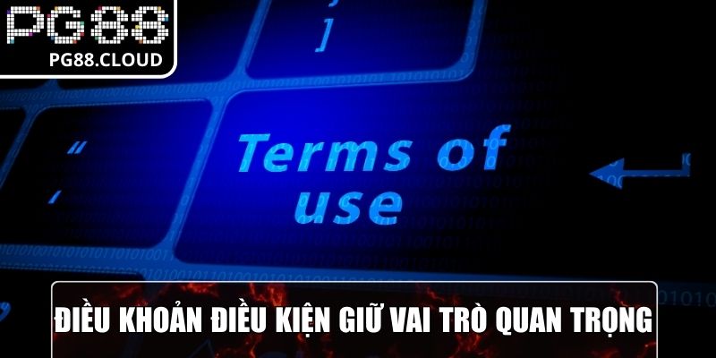 Điều khoản điều kiện giữ vai trò quan trọng