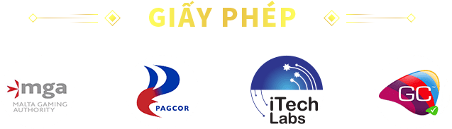 Giấy phép hoạt động PG8