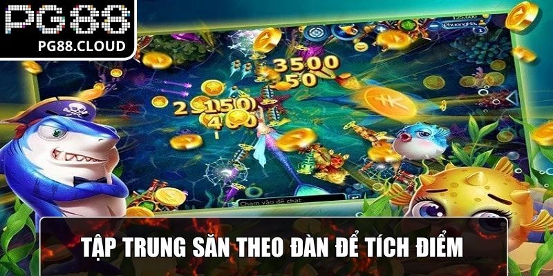 Tập trung săn theo đàn để tích điểm thưởng bắn cá xèng