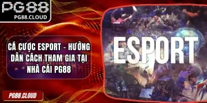 Cá Cược Esport